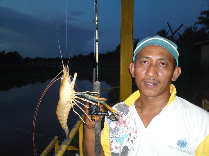 Resepi Sambal Udang Yg Sedap - Pewarna q