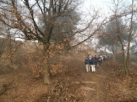 Seguint el camí de la Casa de l'Hora