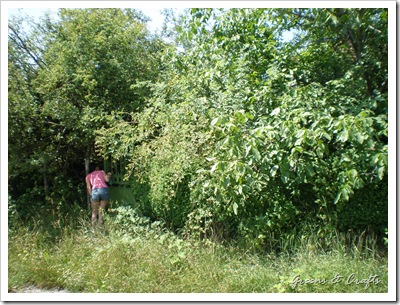 Lakatnik - Milanovo 056