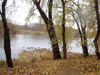 Potomac River fall foliage