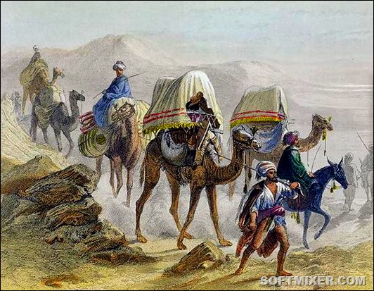 The_Camel_Train