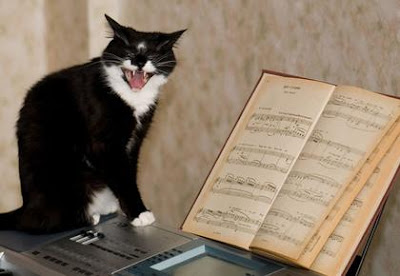 The Singing Cat