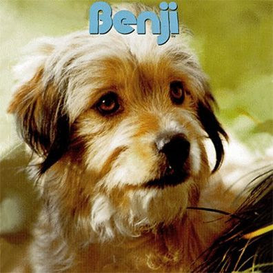 BENJI