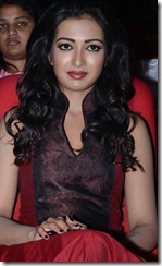 Catherine Tresa Photos at Iddarammayilatho Audio Release