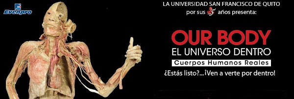 OUR BODY, exhibición de Cuerpos Humanos Reales, llega a Quito: Desde el 15 Nov en Quicentro Sur 