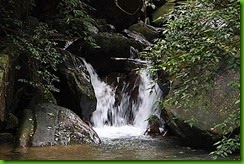 clip_image019