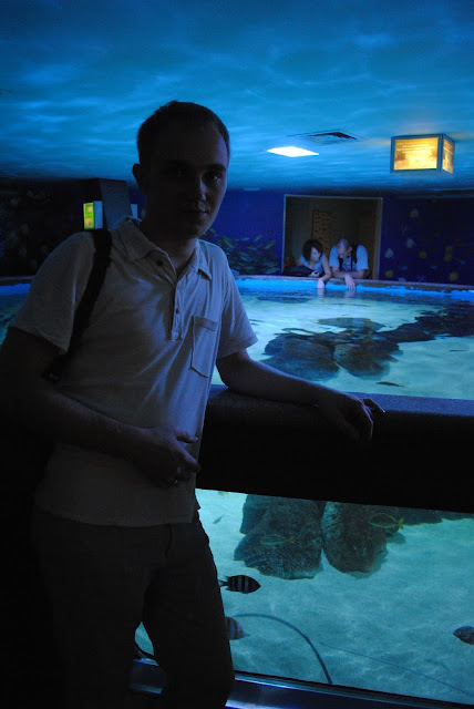 aquarium full of stingrays