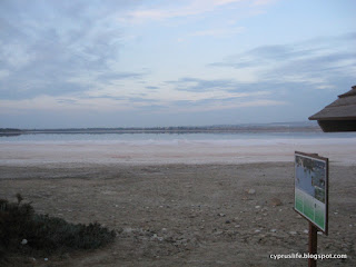 Airport Road end of the Salt Lake trail, showing lack of water