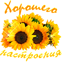 Přeji dobrou náladu & хорошего настроения