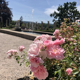 ドイツのローズ・ガーデンをお散歩〜Rosensteinpark Stuttgart〜