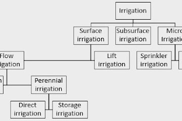 Types of Irrigation | System of Irrigation