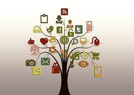 How to Optimize Your Social Media Strategy by Consolidating Posts on All Accounts