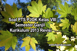 Soal PTS/UTS PJOK Kelas 8 Semester 1 Kurikulum 2013 Revisi