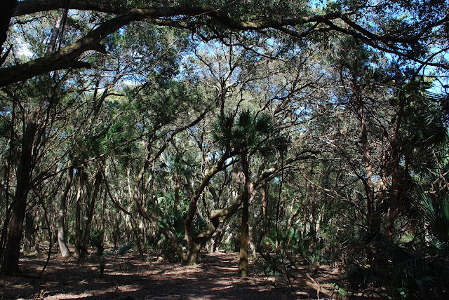 Bullow Creek State Park