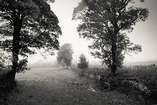 contax 137ma,firstcall 400s, film, grain, sharp, d76, kodak, analogue, analog, photography, darkroom, print, silver gelatin, enlarger, enlarging, 35mm