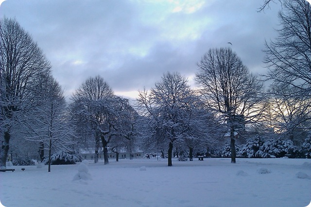 IMAG0673