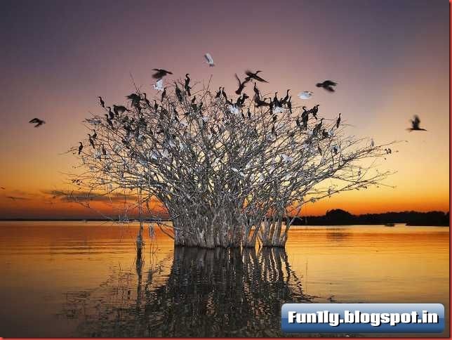 fun1ly.blogspot.in (5)