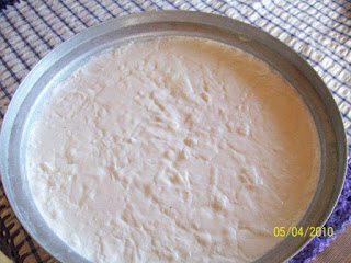 Home Made Yogurt (Evde Yogurt Yapimi)