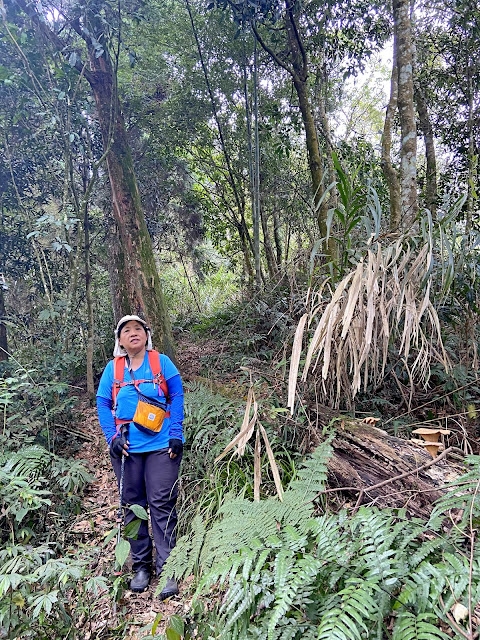 樟湖山下山途中