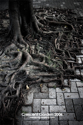 Crescent Garden, Hong Kong, 2006