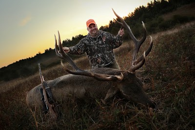 Pure Michigan Hunt shoots to score big with help from hunting industry, sportsmen's groups 