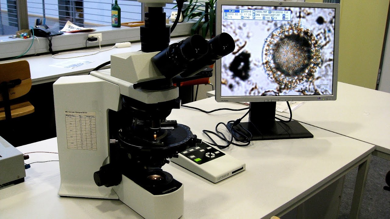 Olympus Microscope Camera
