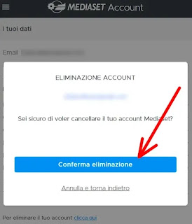 Guida per Eliminare profilo Mediaset infinity - 4 clicca su conferma eliminazione
