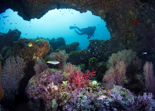 ne of the 10 most beautiful dive sites in the world