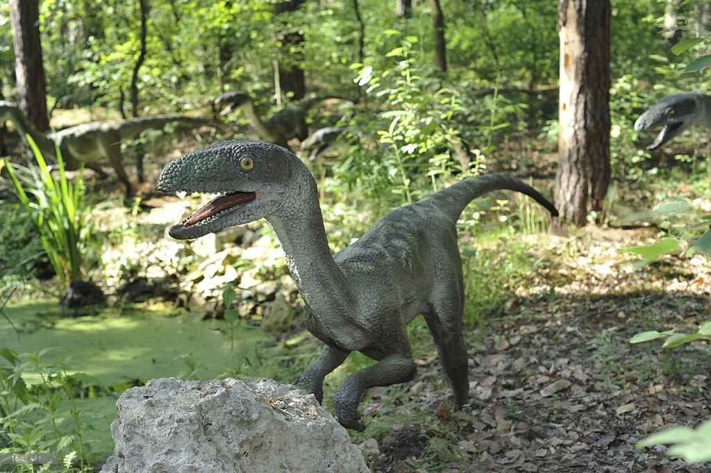 Velociraptor — The Speedy Thief.