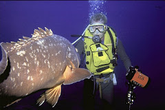 Diving Experience
