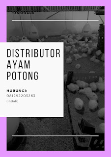 DISTRIBUTOR AYAM  POTONG  TANGERANG