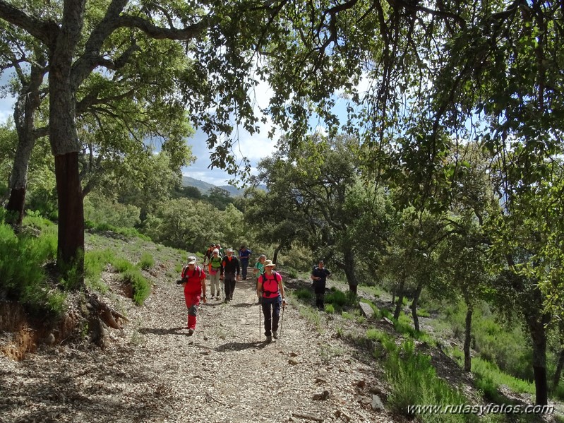 El Colmenar - Camino de los Arrieros - Puerto de los Peñones - Puerto de la Venta - Garganta de Los Charcones