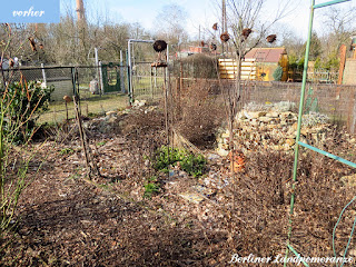 Garten vor dem Staudenschnitt