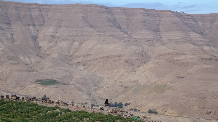 Farmers sit and observe the sheep herdes