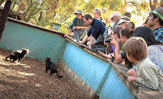 Tasmania, An All-Year-Round Travel Destination