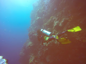 Bunaken Cela - cela spot