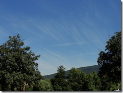 DSC00674
