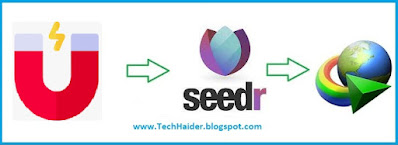 Magnet link Seedr IDM