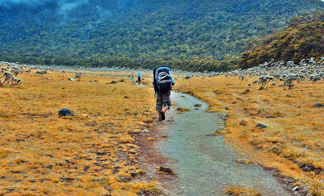 surya kencana