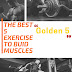 Best 5 Exercise to Build Muscle | GOLDEN 5