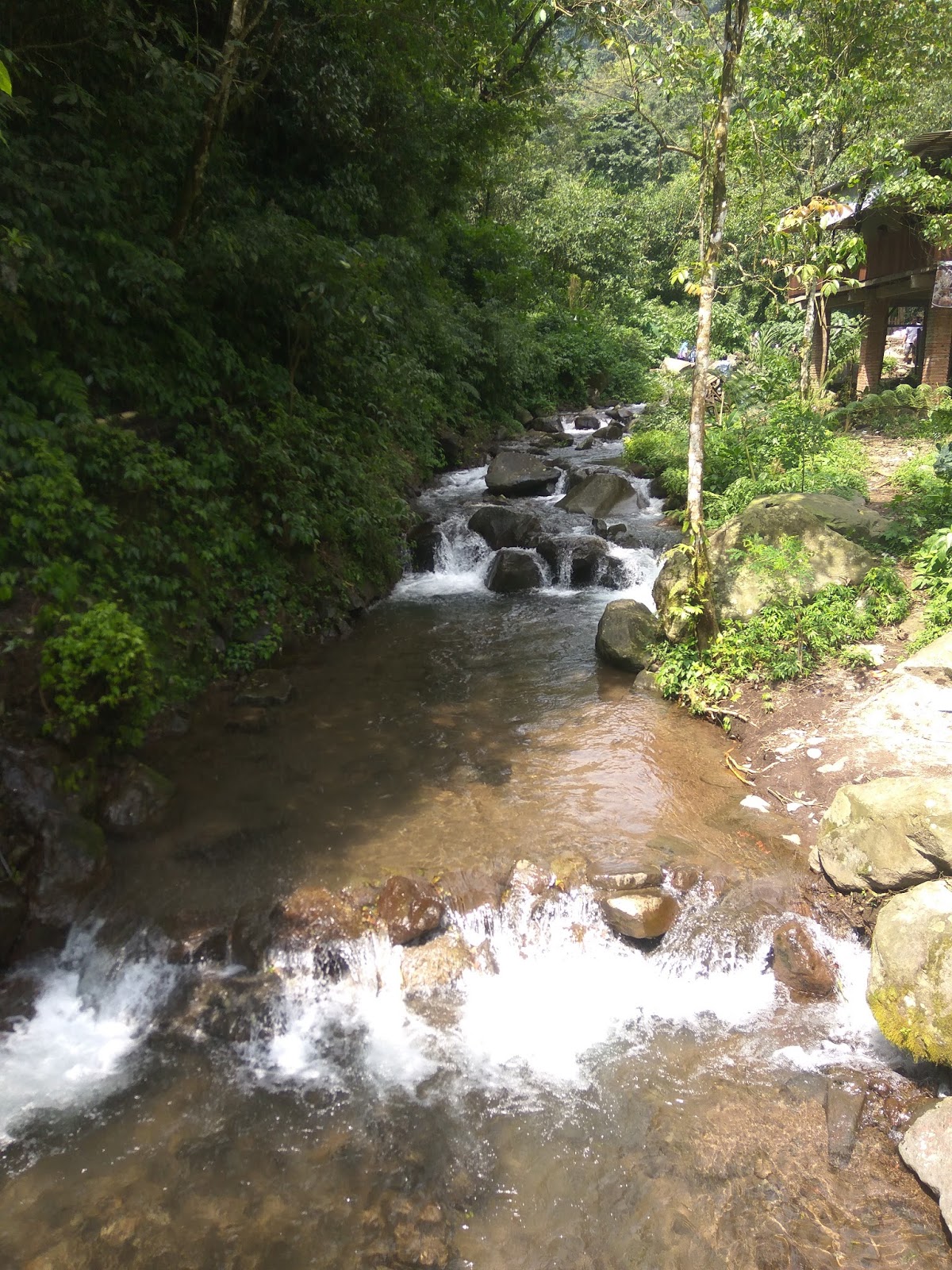 Camping Ground Air Terjun Dlundung Trawas Mojokerto Pejalan Kaki