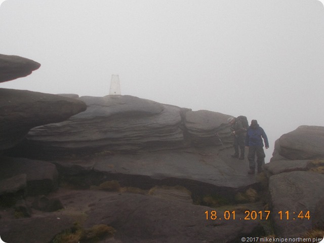 back tor