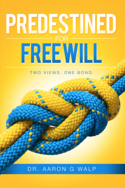 Available on Kindle