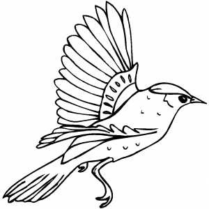 Bird Coloring Pages 10