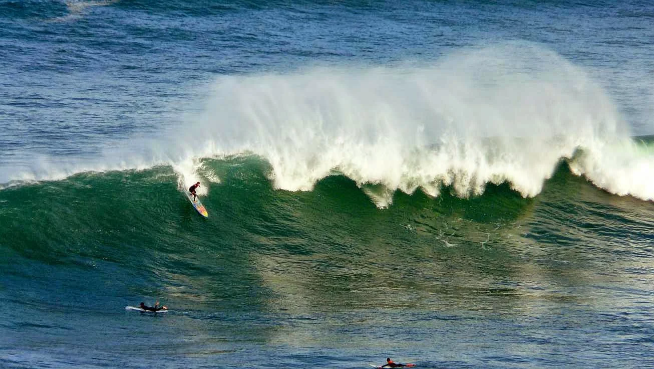surf menakoz surf30 27