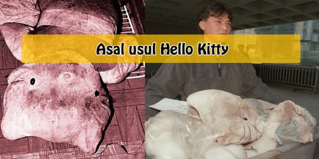 Kisah Seram Hello Kitty Bukan Seekor Kucing! - Info Viral