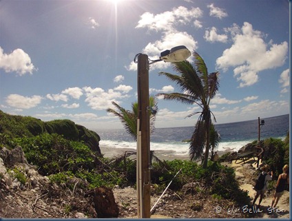 GOPR2901 (Large)