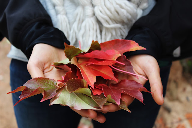 High Five for Friday | Anticipating Fall blanket scarf football apple cider pumpkin psl leaves cooler weather 