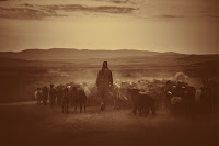 Shepherding Sheep - Photo by Mohamad Babayan on Unsplash