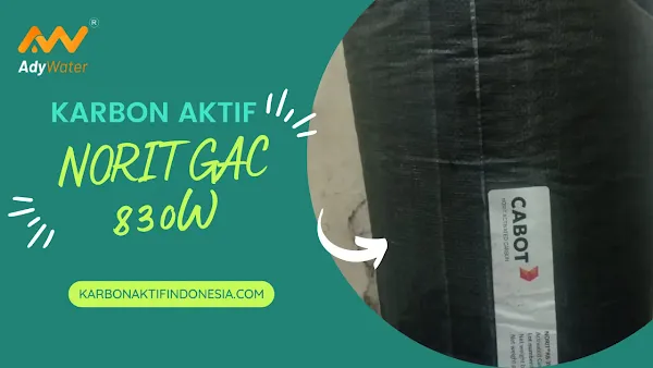 karbon aktif karbon aktif adalah karbon aktif aquarium fungsi karbon aktif harga karbon aktif karbon aktif untuk filter air karbon aktif atau arang aktif adalah filter karbon aktif karbon aktif filter air apa itu karbon aktif cara membuat karbon aktif
